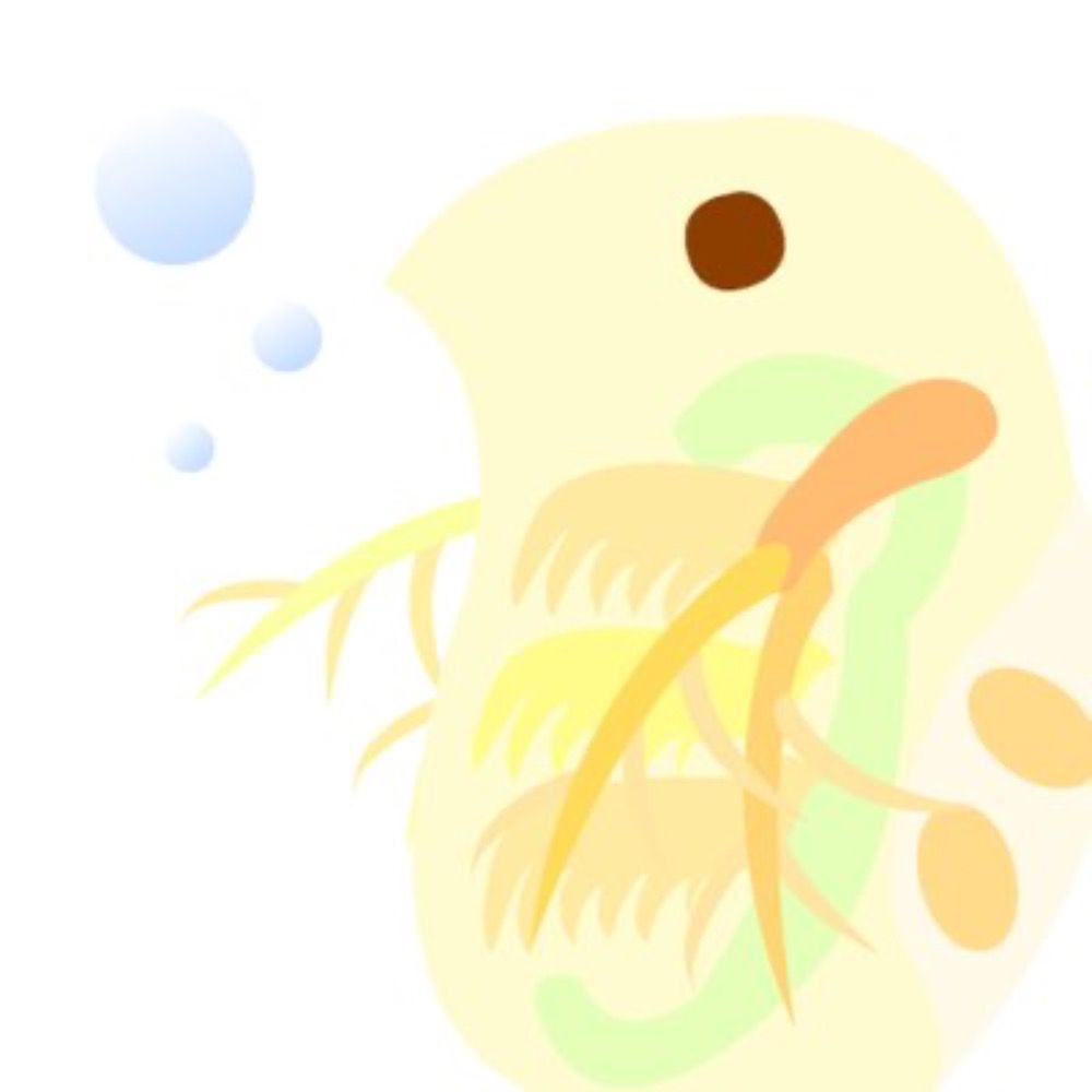 ひでっしゅ
