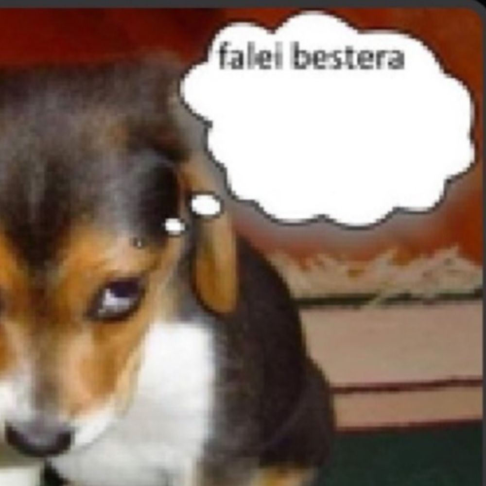 falei bestera