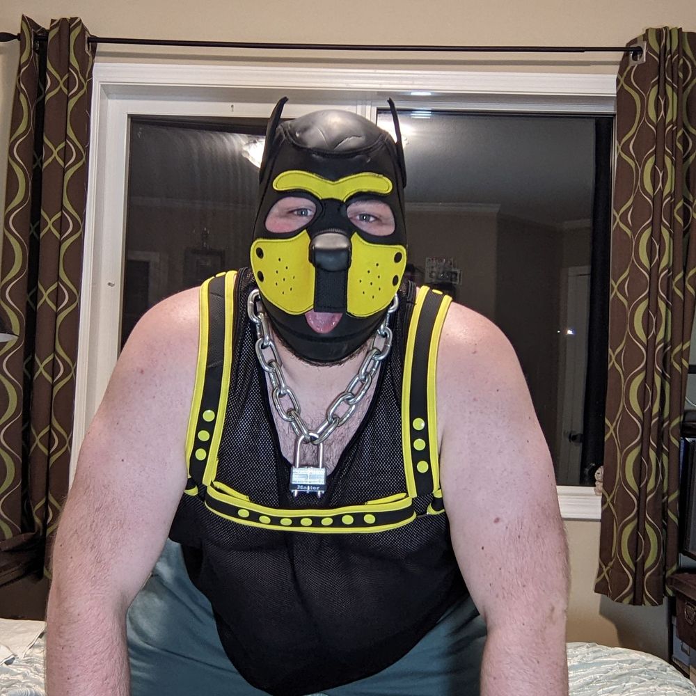 PupBlitz