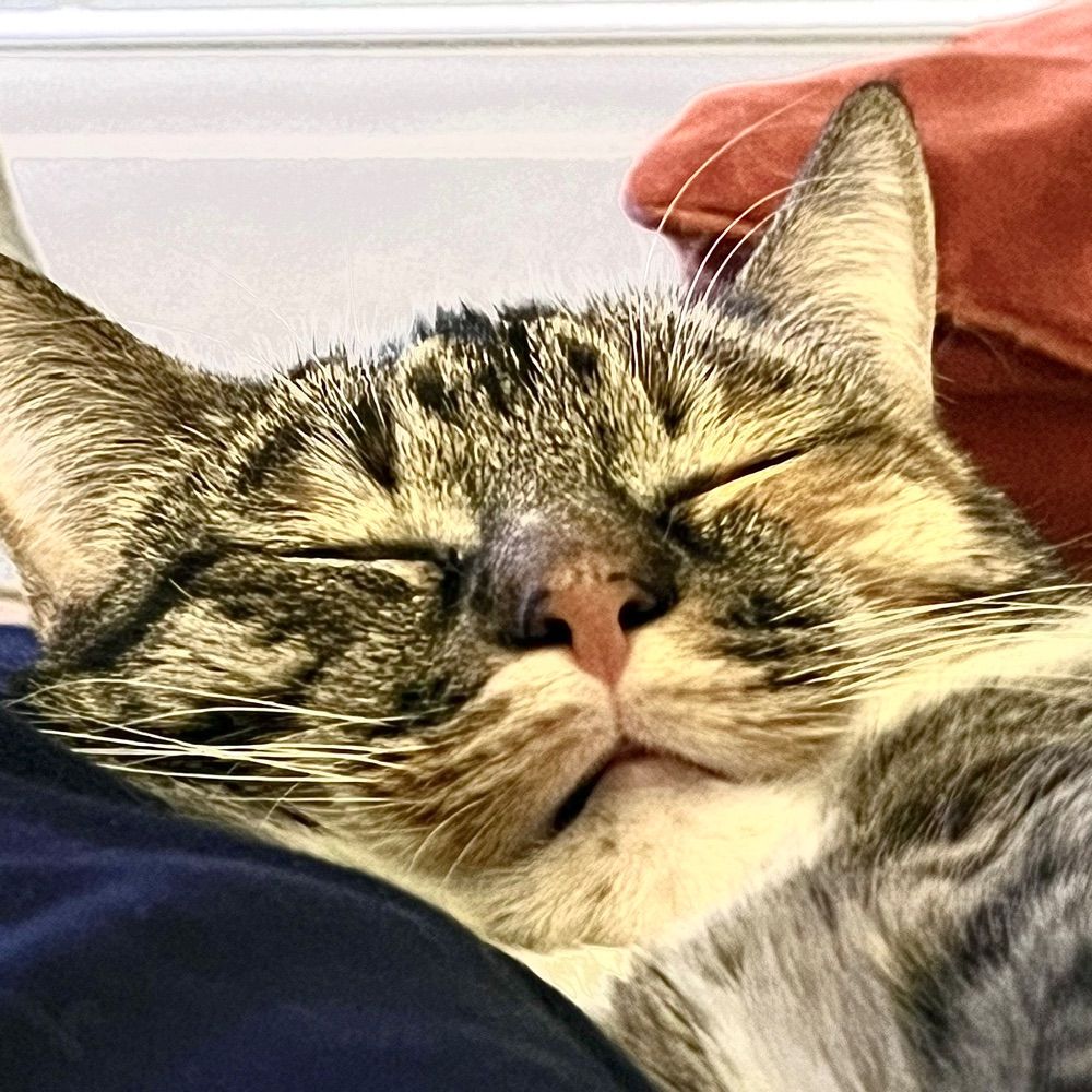CubbieBlues
