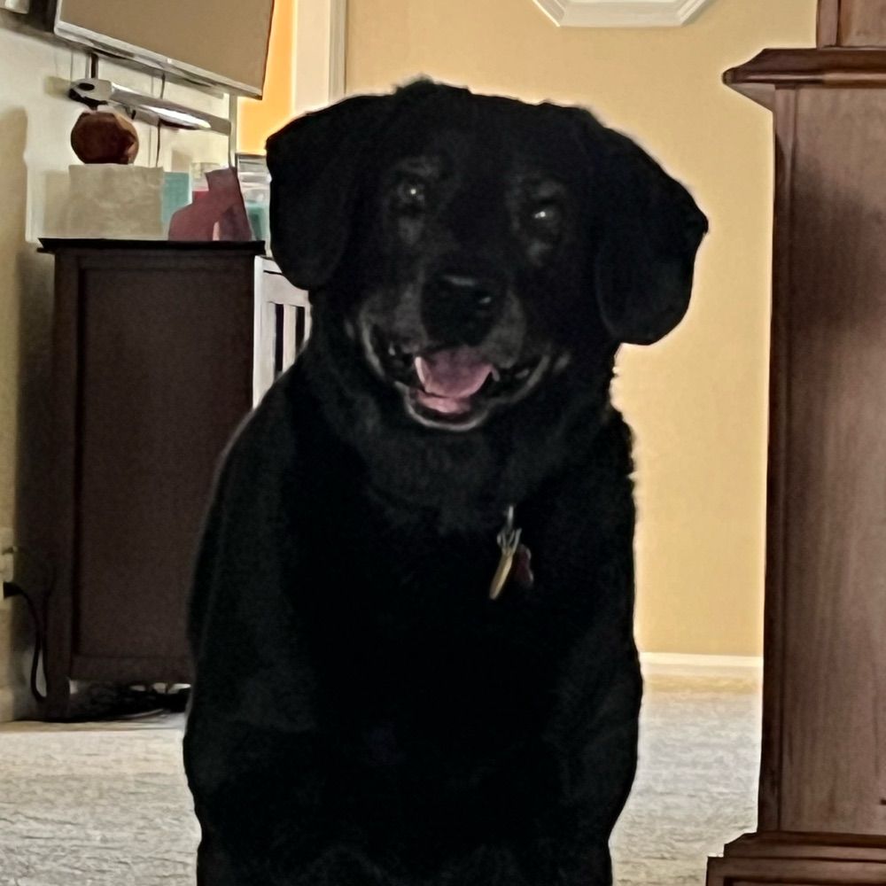 Katie