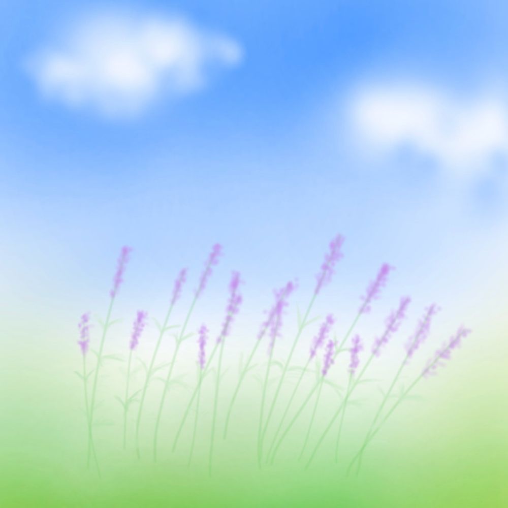 lavender