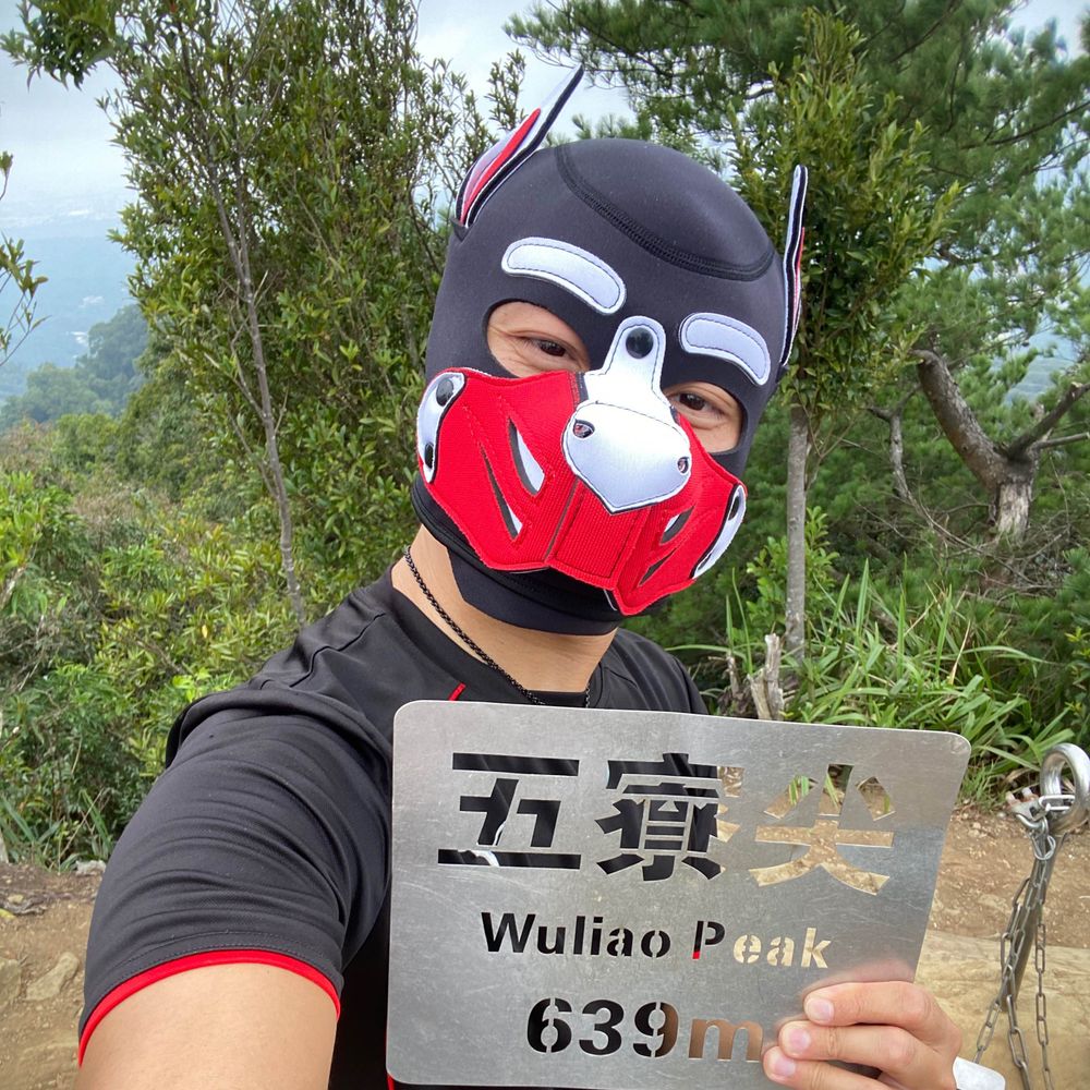 被獅子叼走的黑山羊