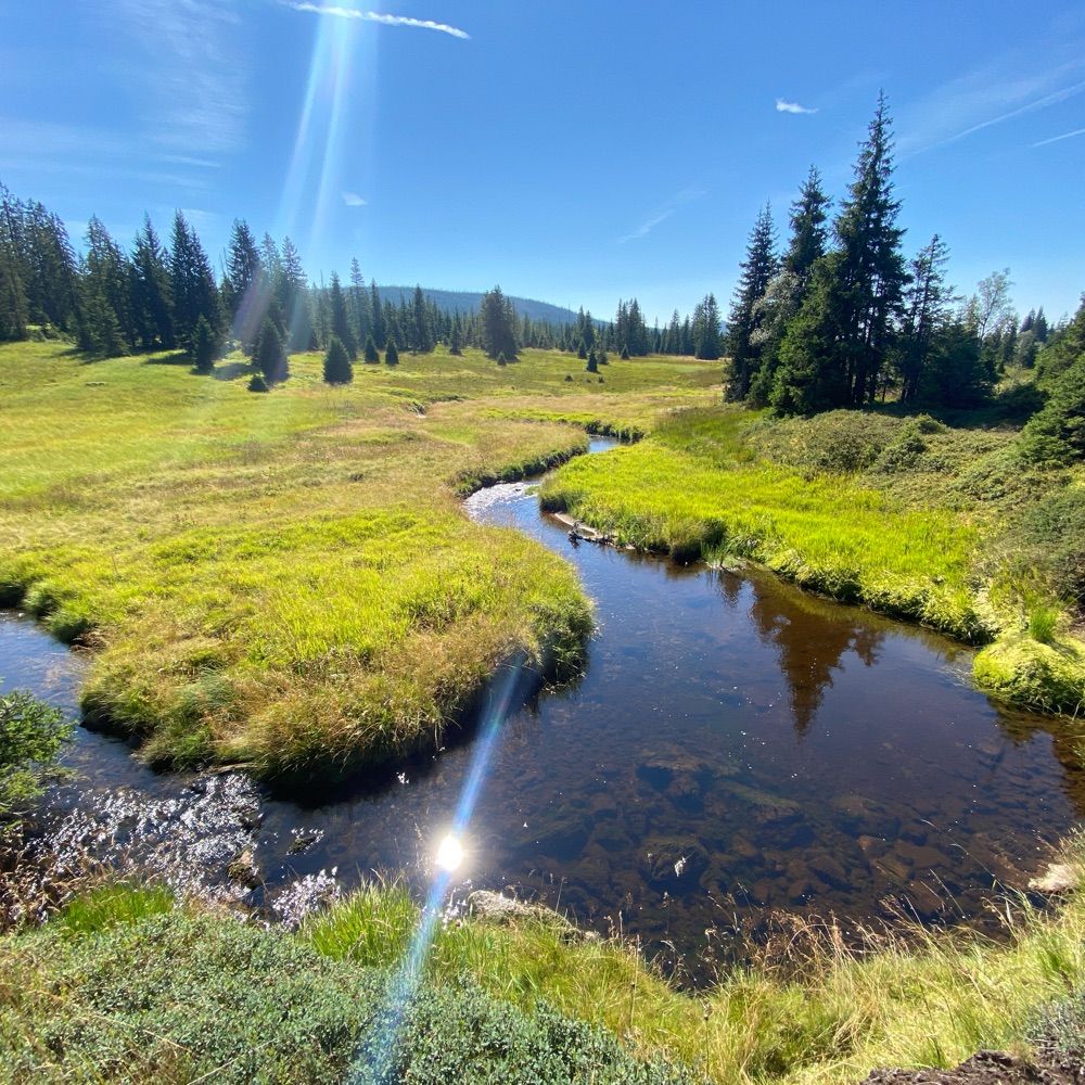 Šumava