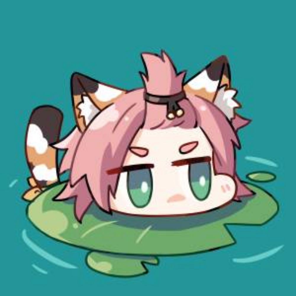 包菜西红柿