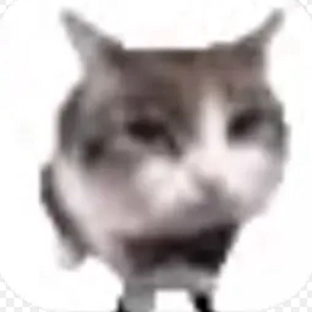 Tio