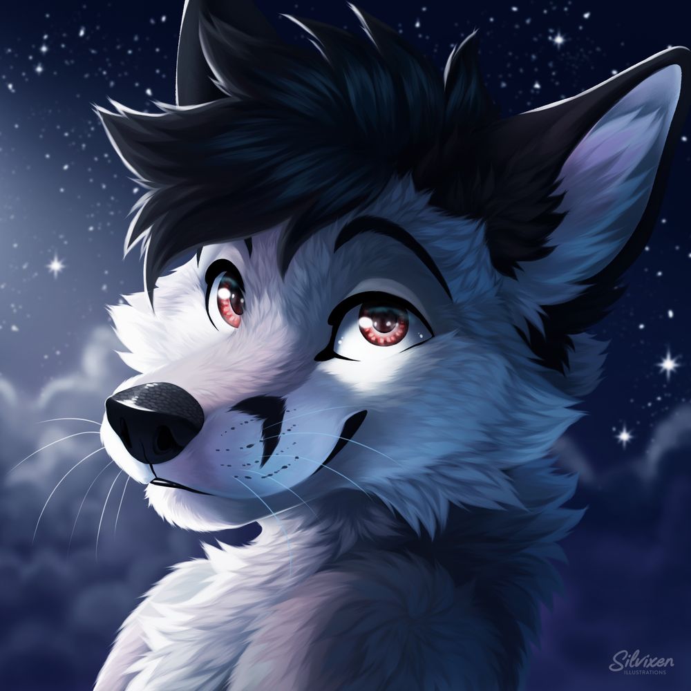 BlackCoatFox