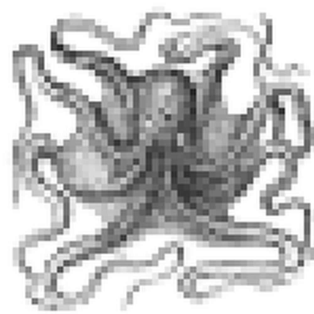 roboctopus