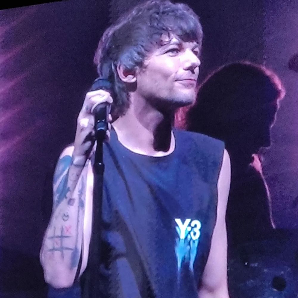 ✨️PAM - viu Lou, Harry e vai ver o Niall 