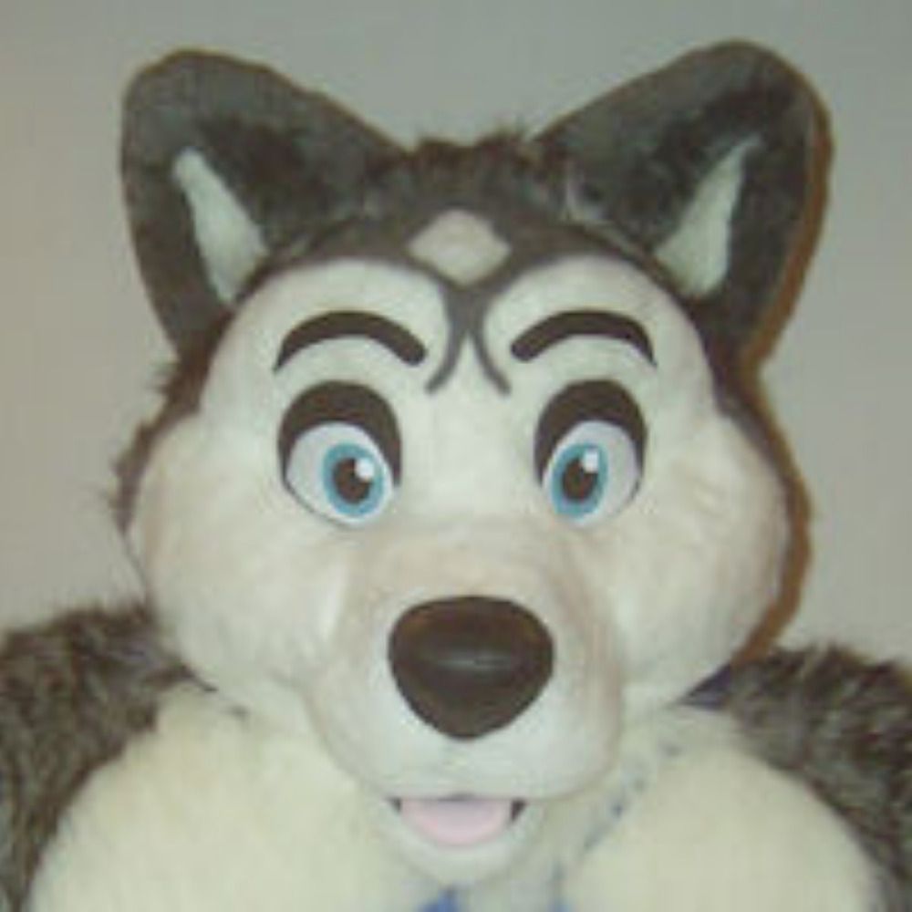 Graystone Husky's avatar