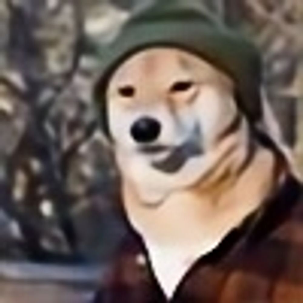 dan 🦨💨🦊