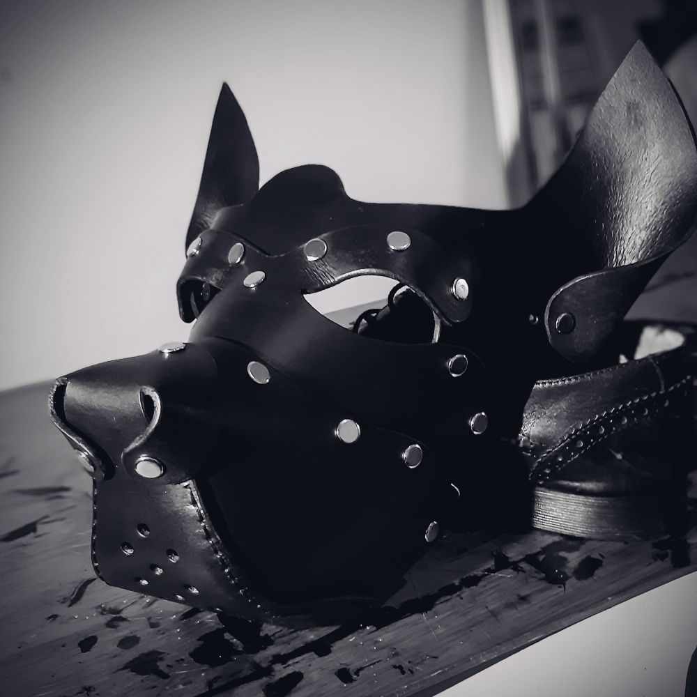Arkady the Jackal