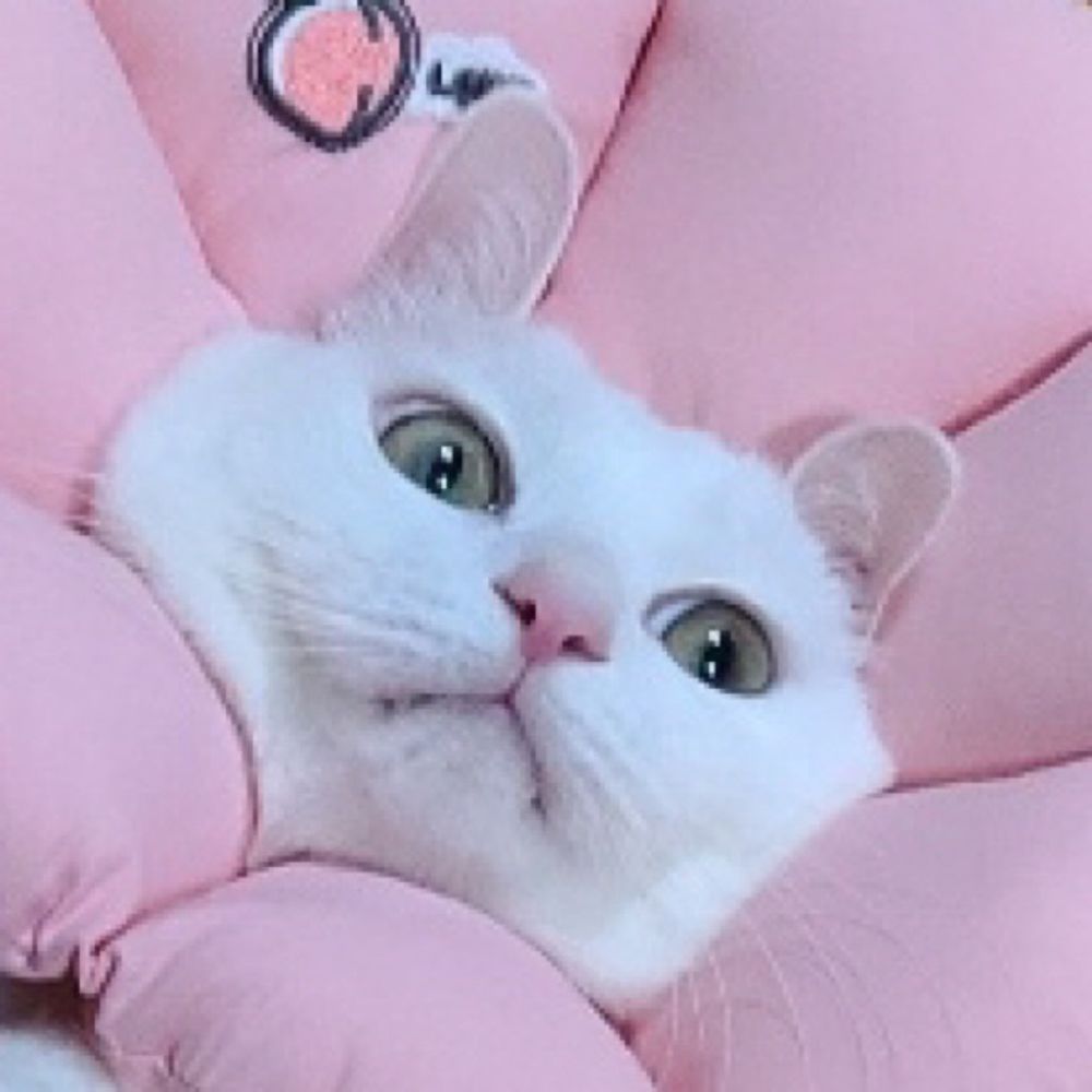 먀로