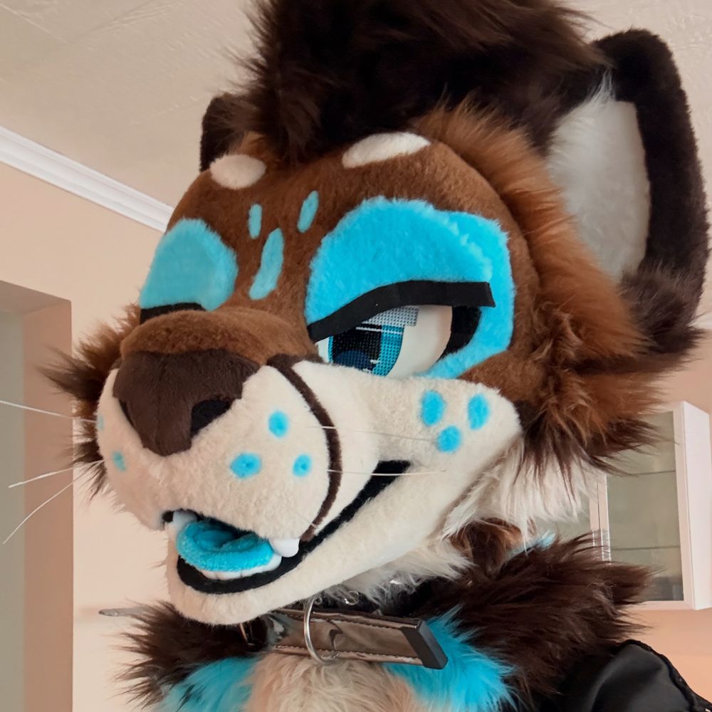 Kyte!!~
