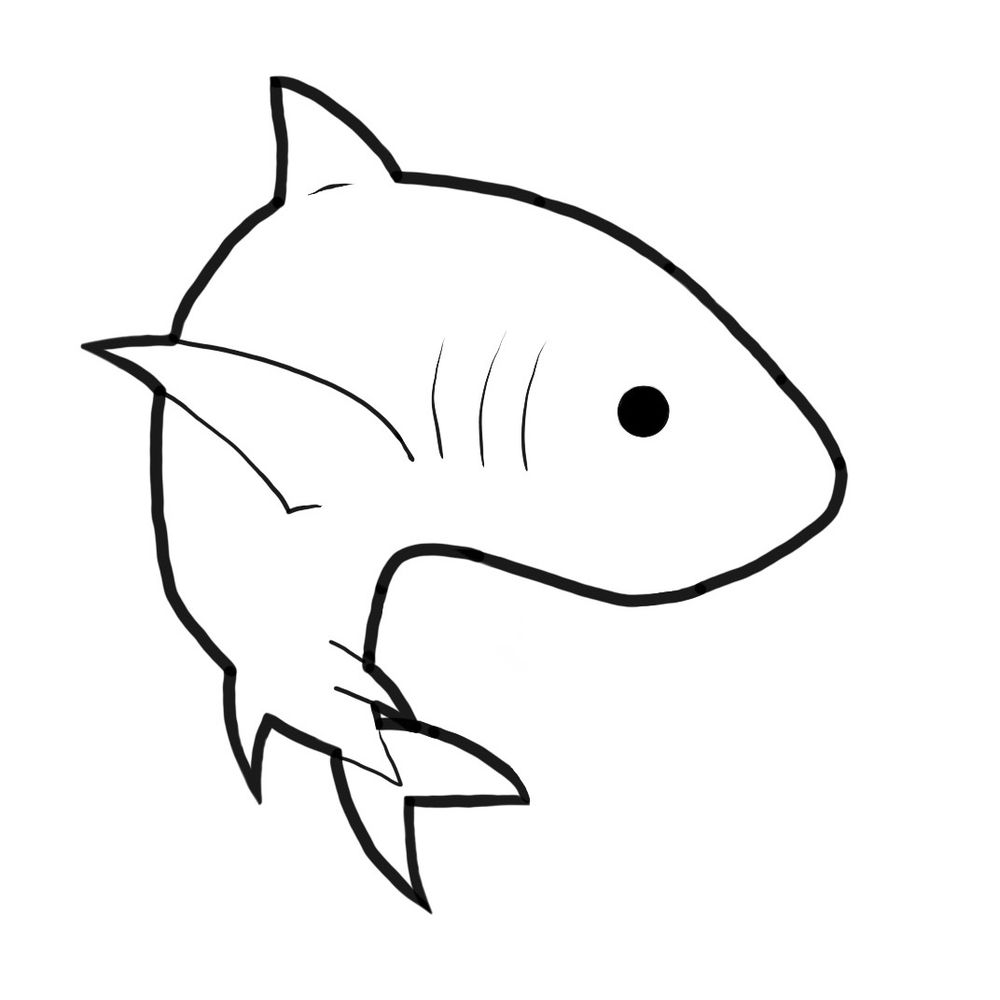 Megaselachus