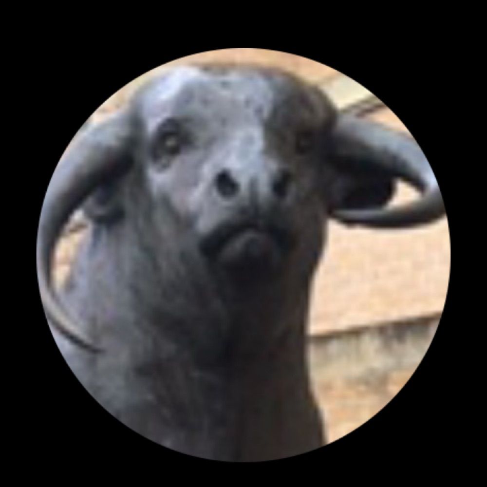 Leonard Buff