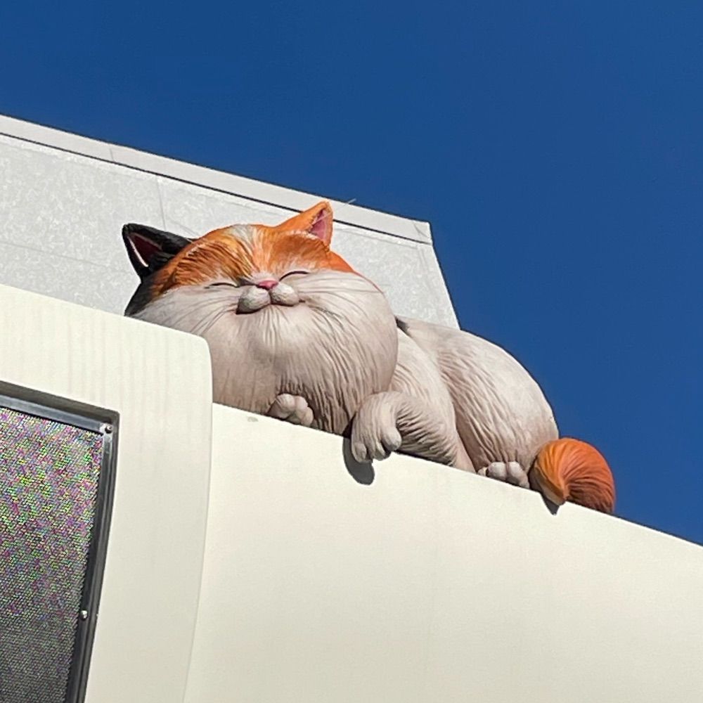 おおたに