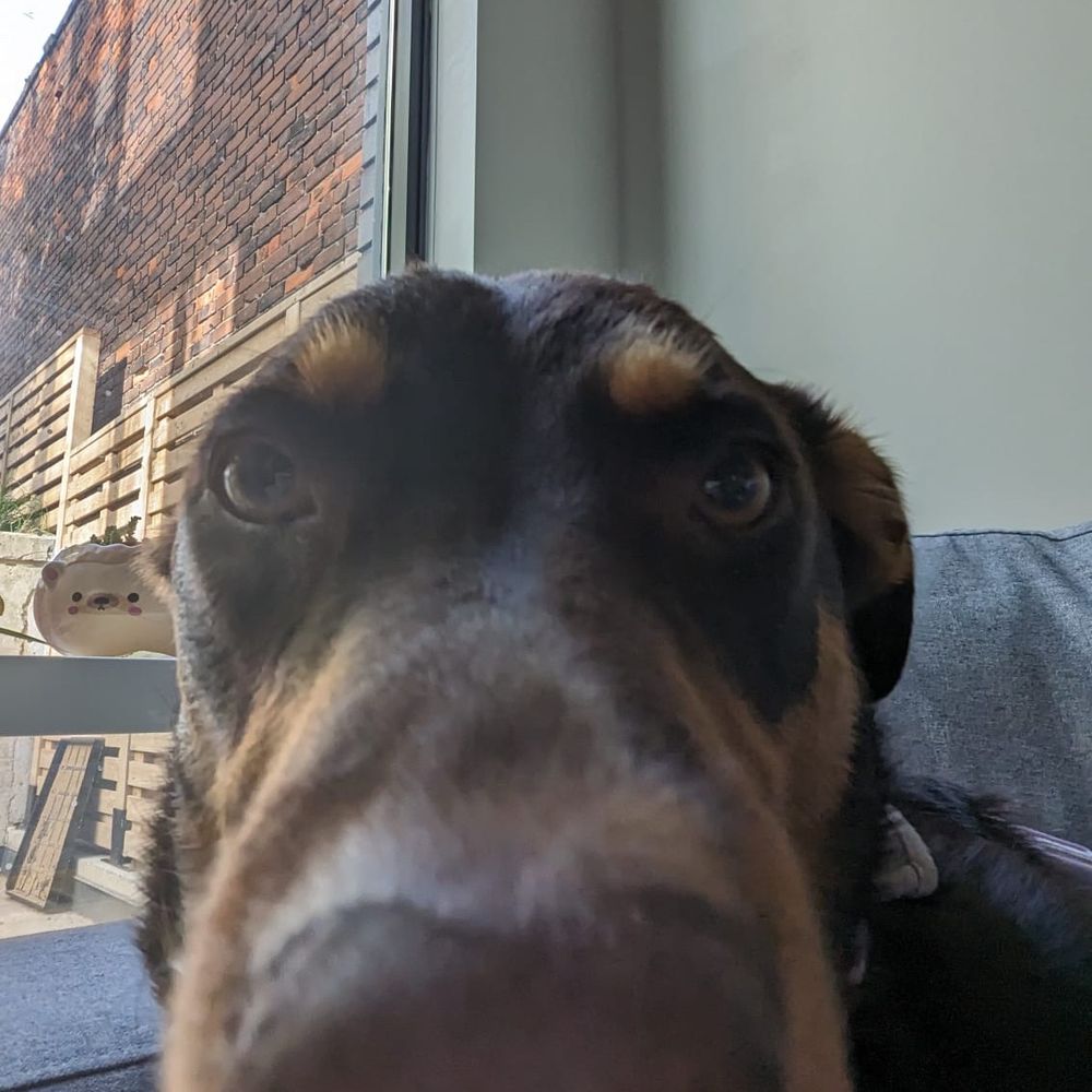 reb