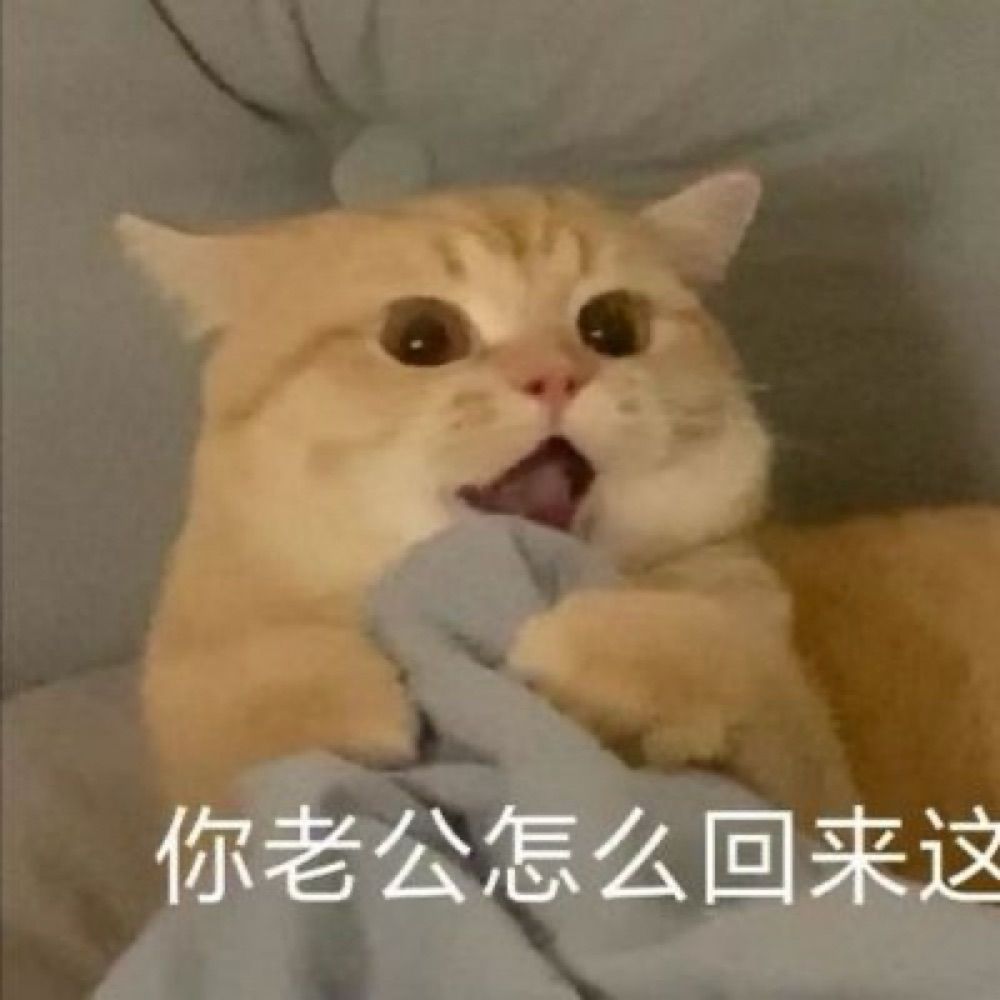 阿巴阿巴