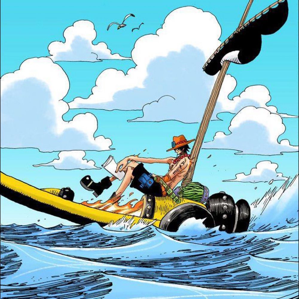 going merry 🏴‍☠️