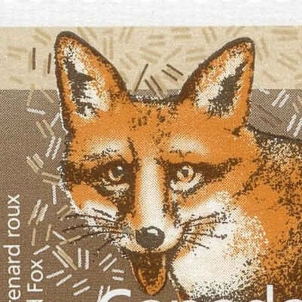 Dimm the Fox