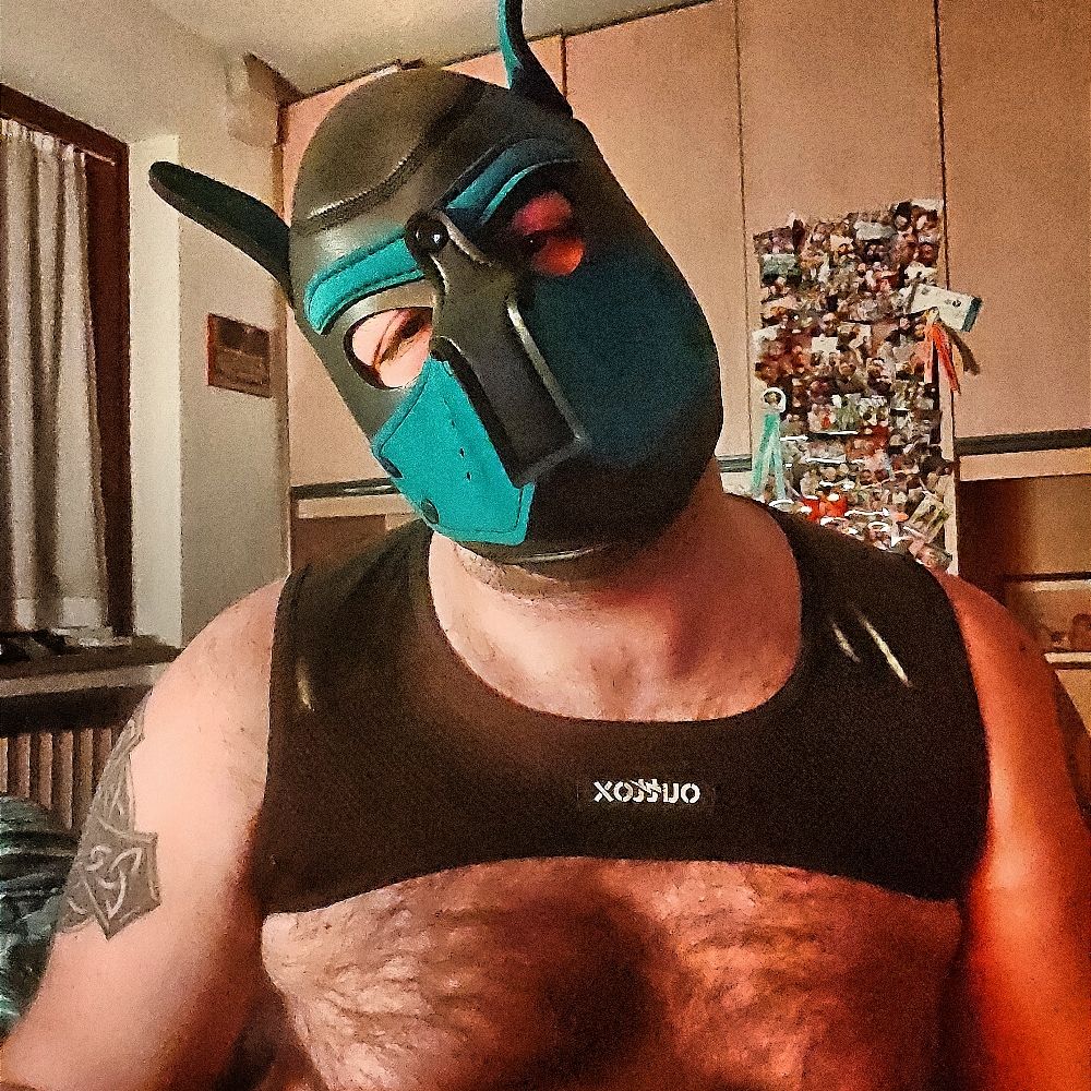 Huggercub - Pup Laxus