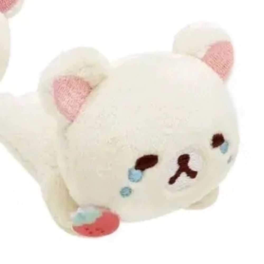 수계