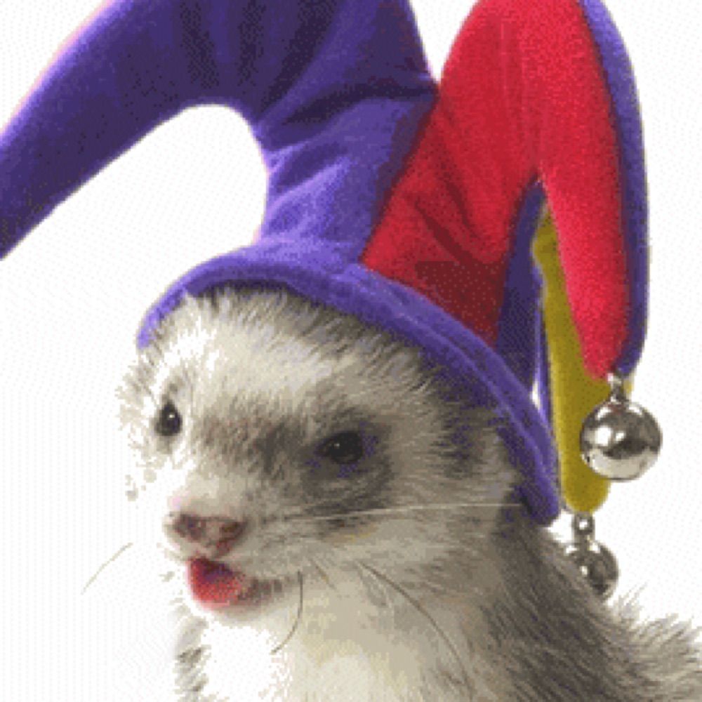 darkferret