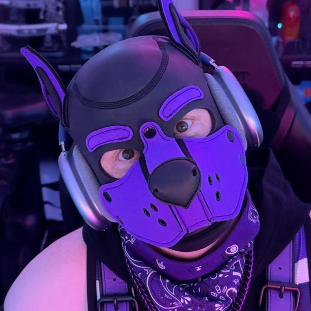 Pup Cody