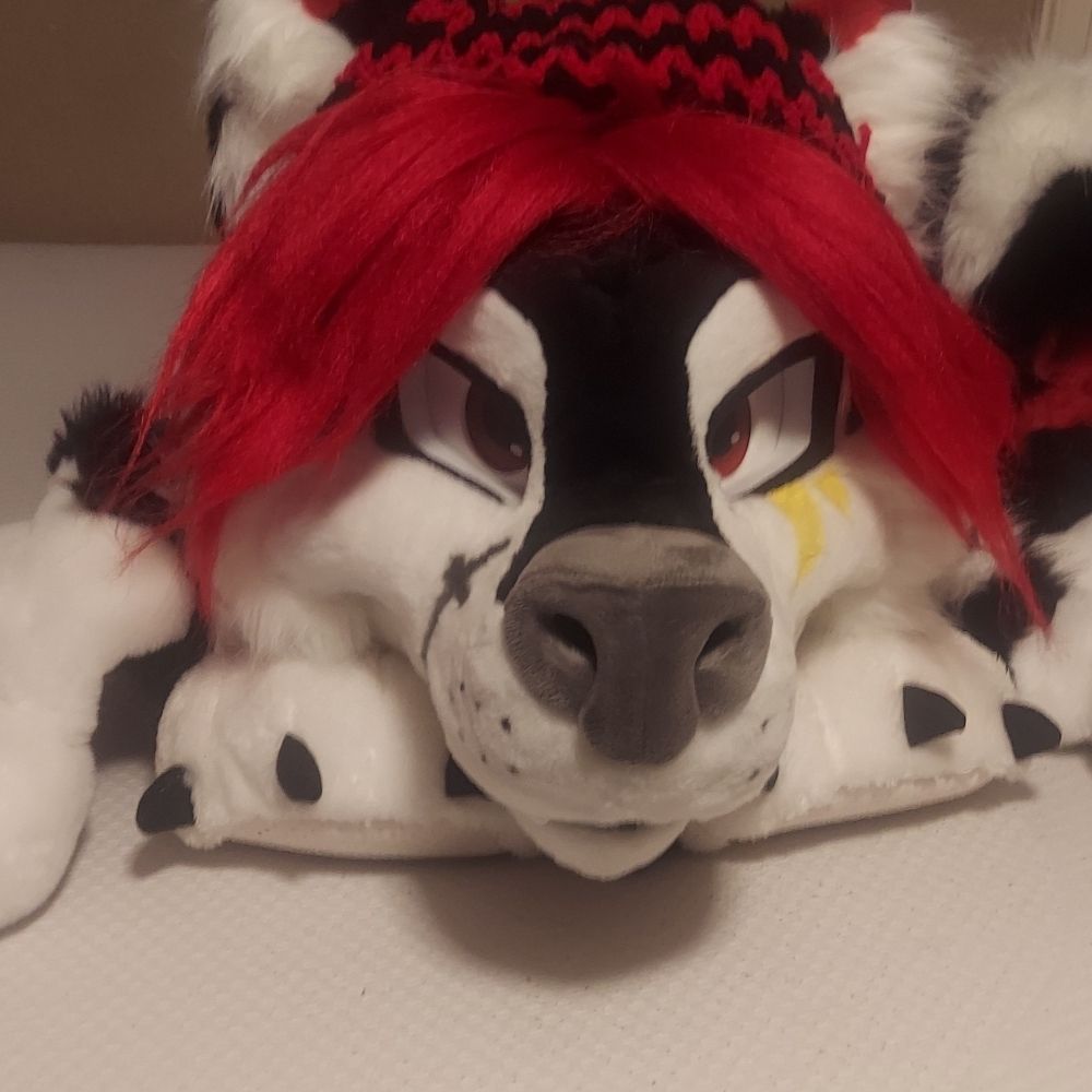 Kai Fierro the Illusion Husky