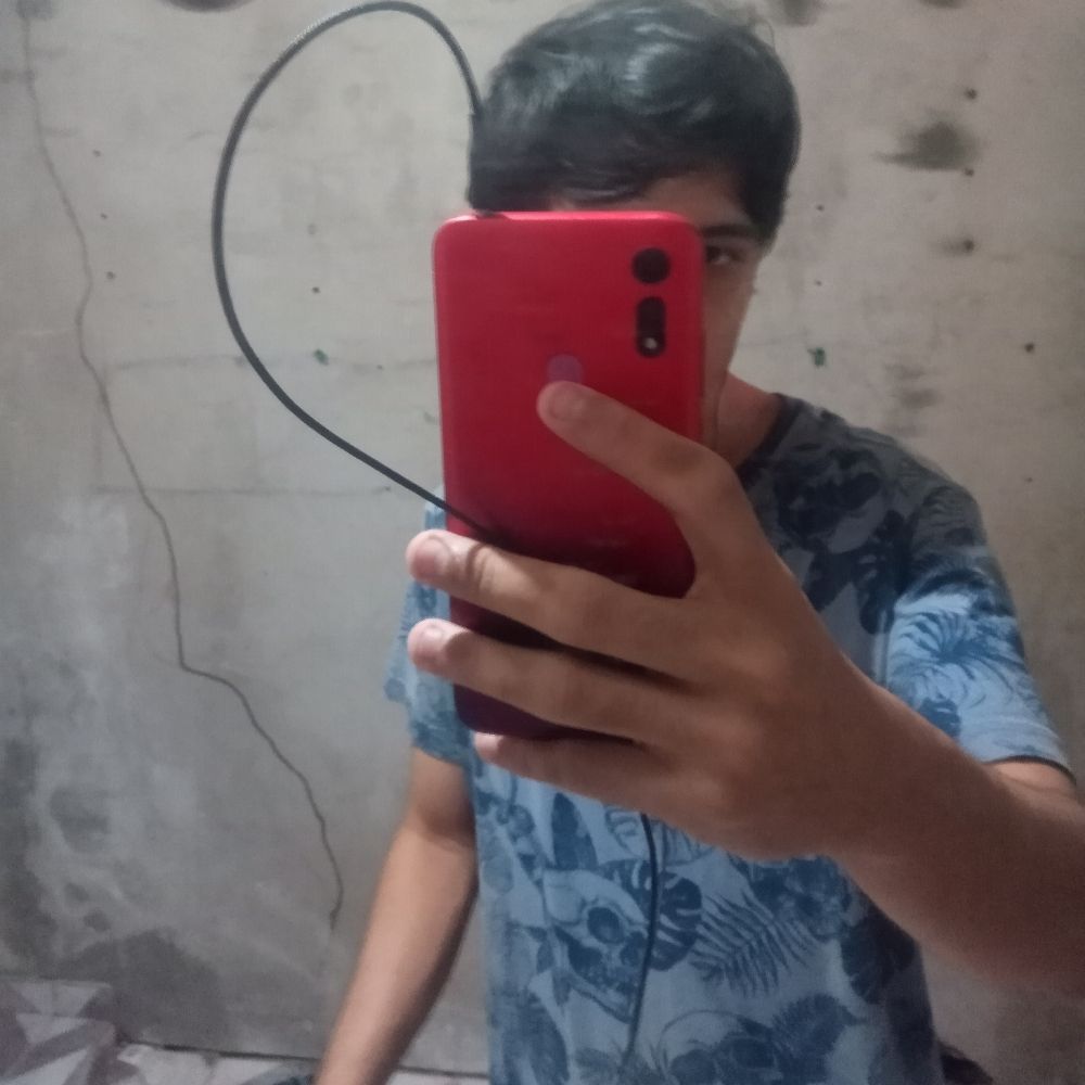 Alek