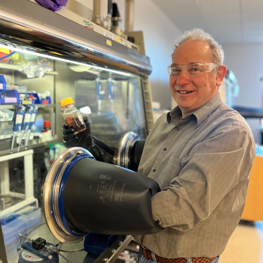 Mayer Lab Chemistry