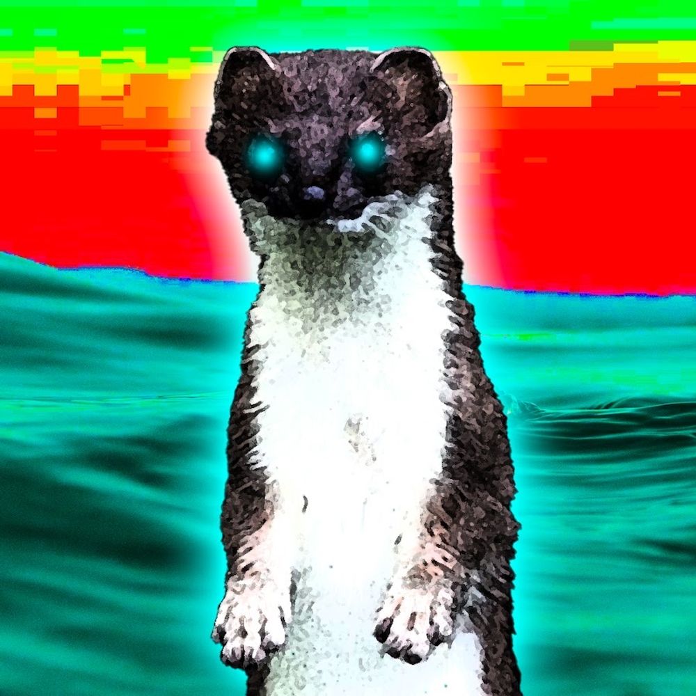 Ocean Weasel