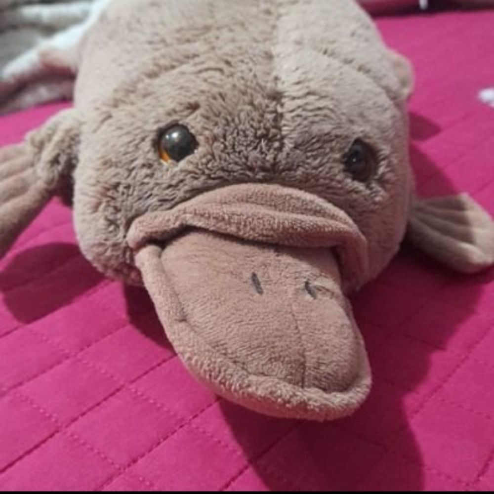 Maduda