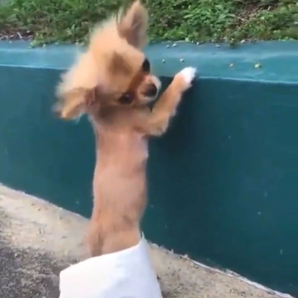 ㅅㅅㅁㄷ