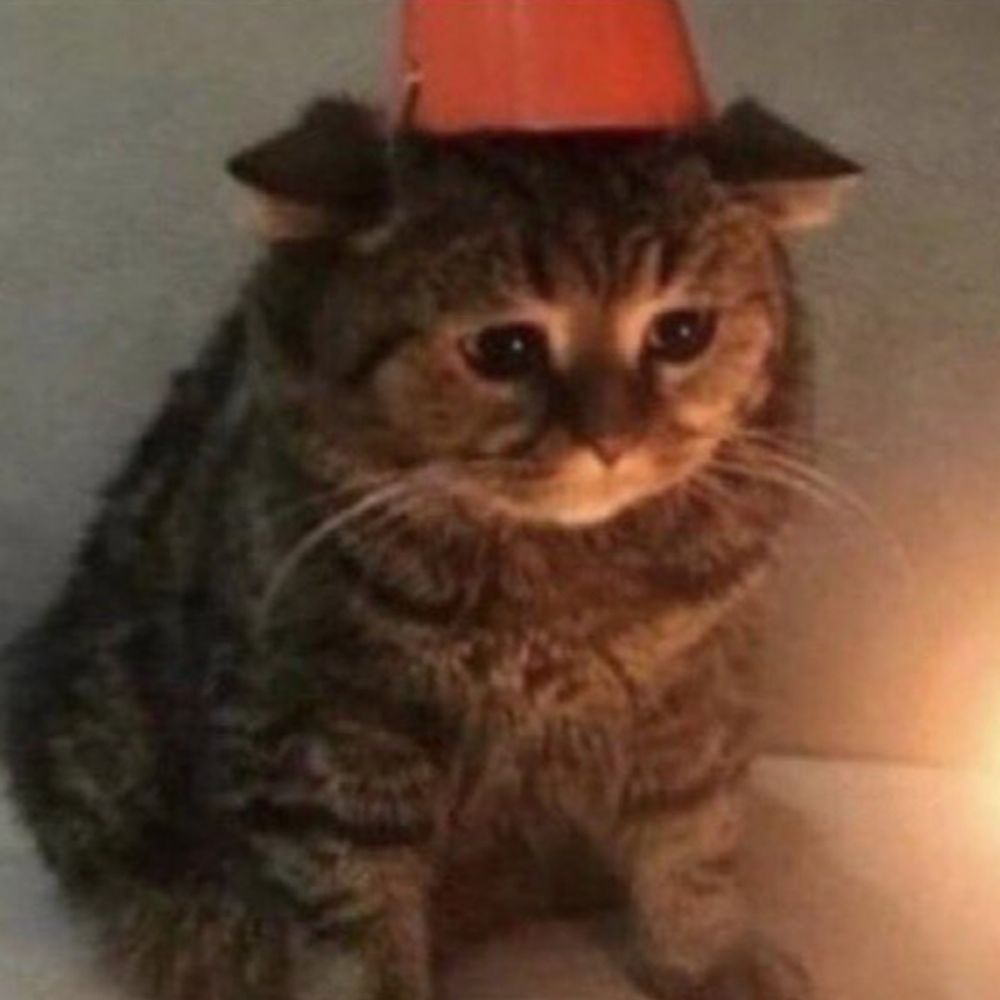 와렘