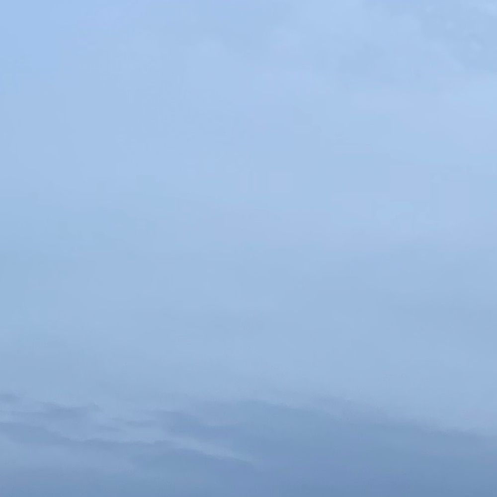 🐟