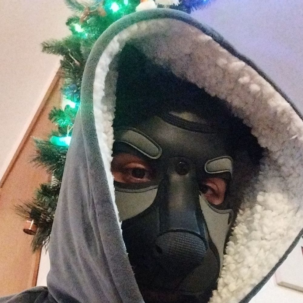 Pup Tiergan