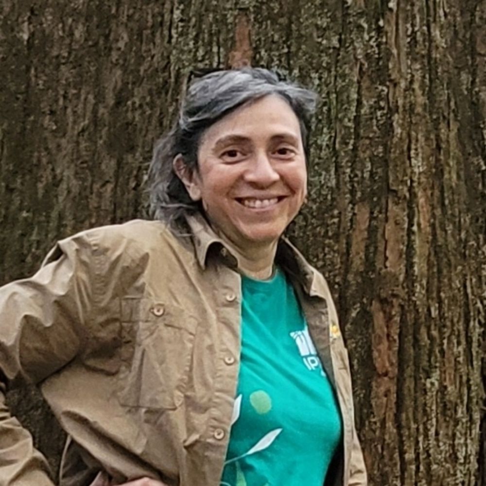 Ane Alencar
