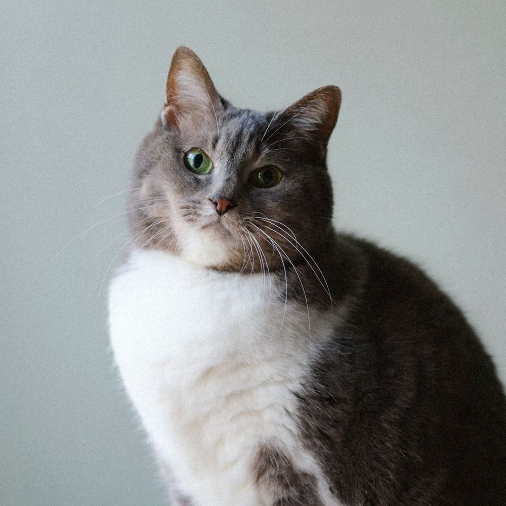Meg