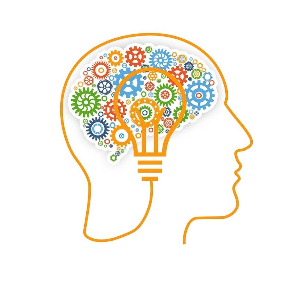 Language and Cognition FAU