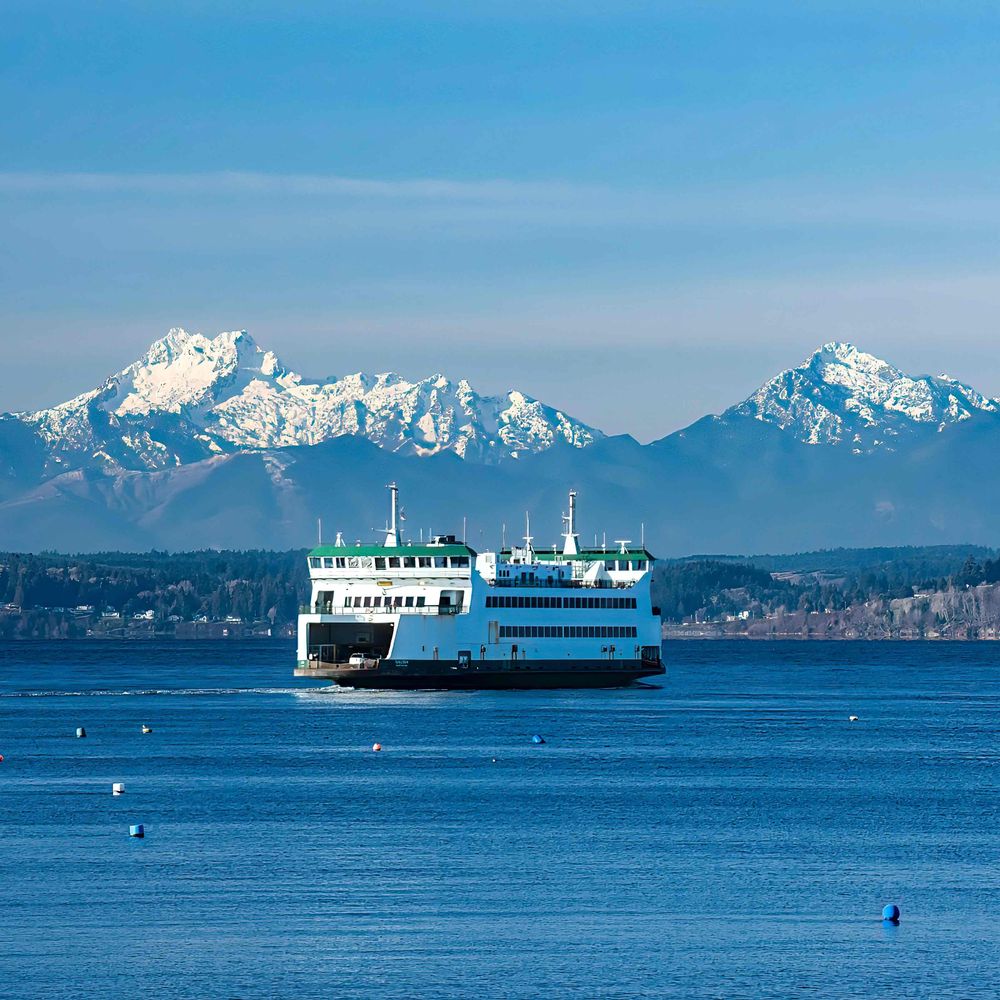 My Edmonds News