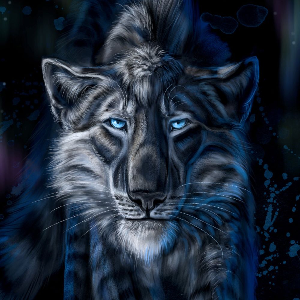 FelisGlacialis