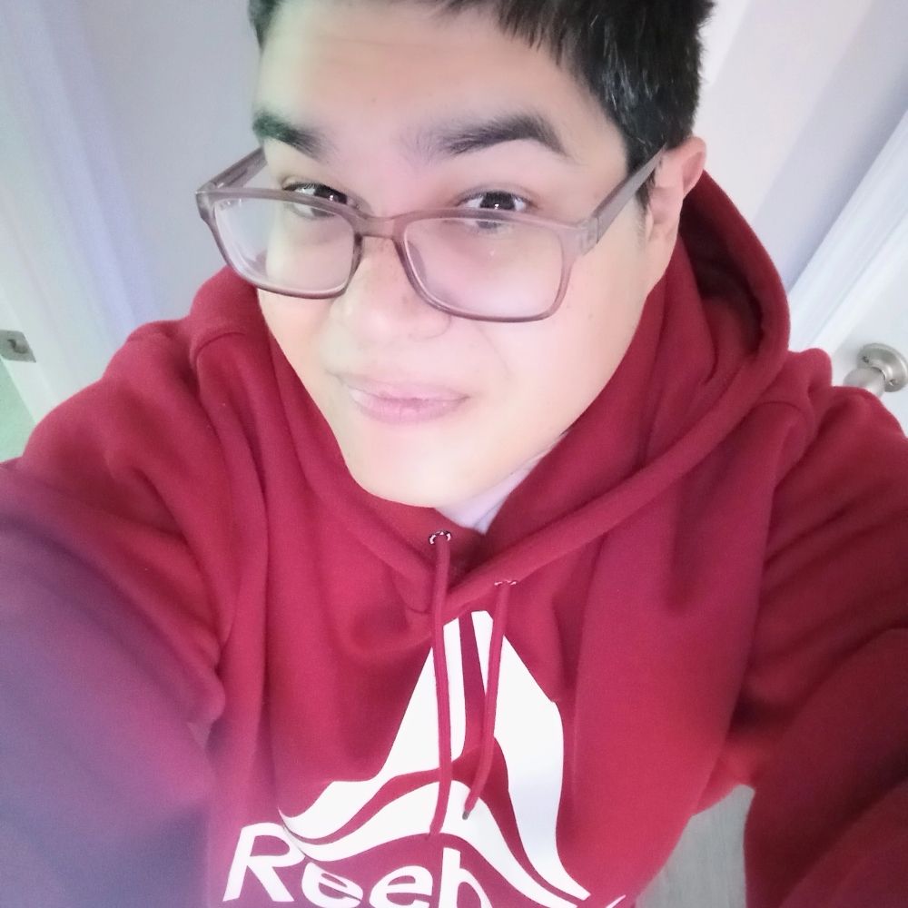 Fortminorproject