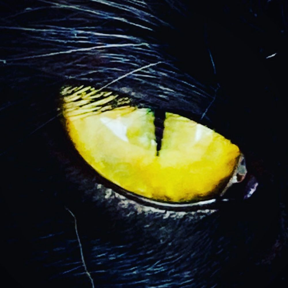 Oign