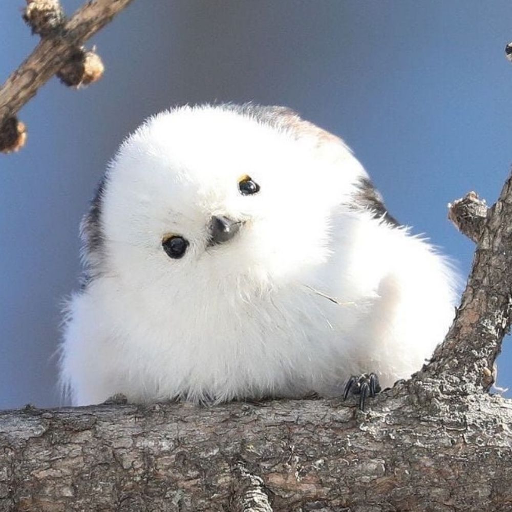 공백