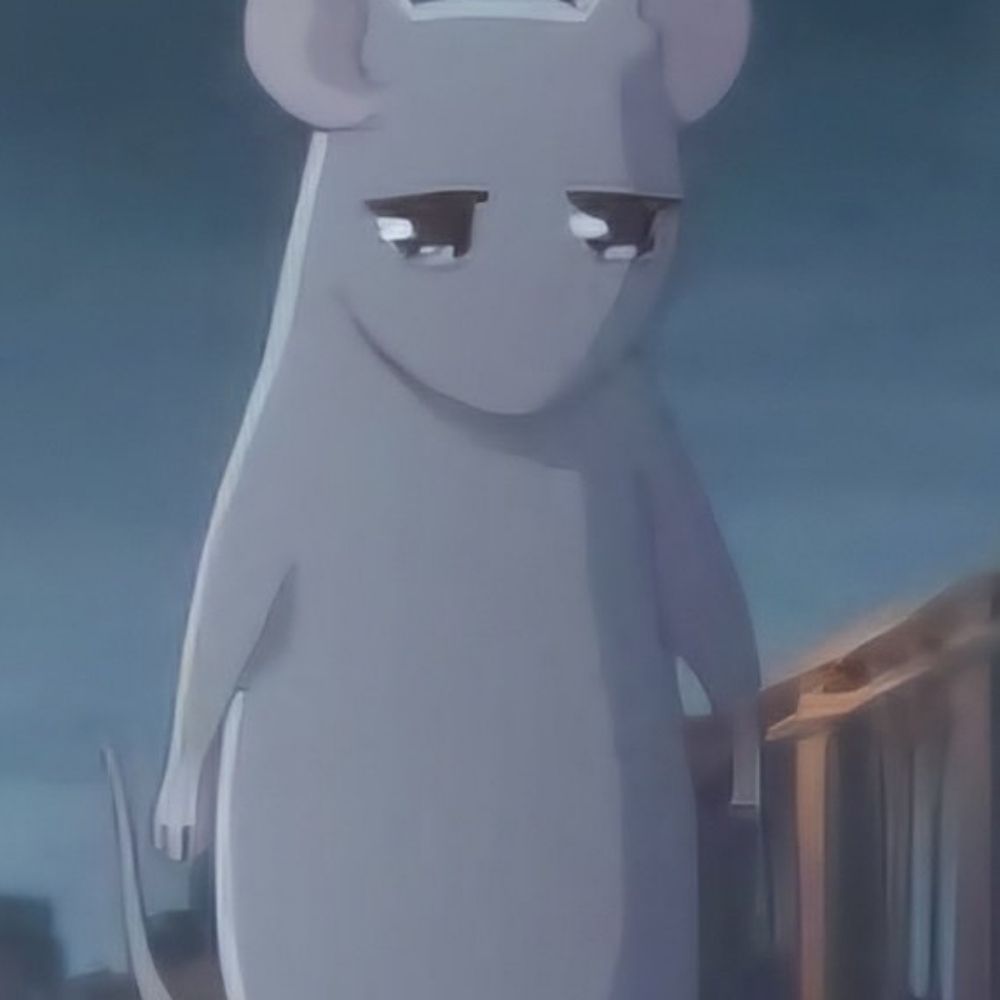 Bunny 