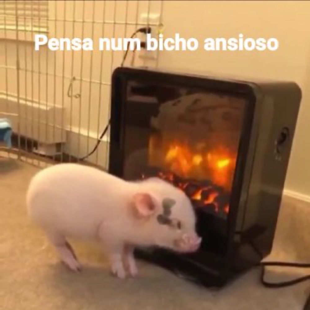 Bolinho inho
