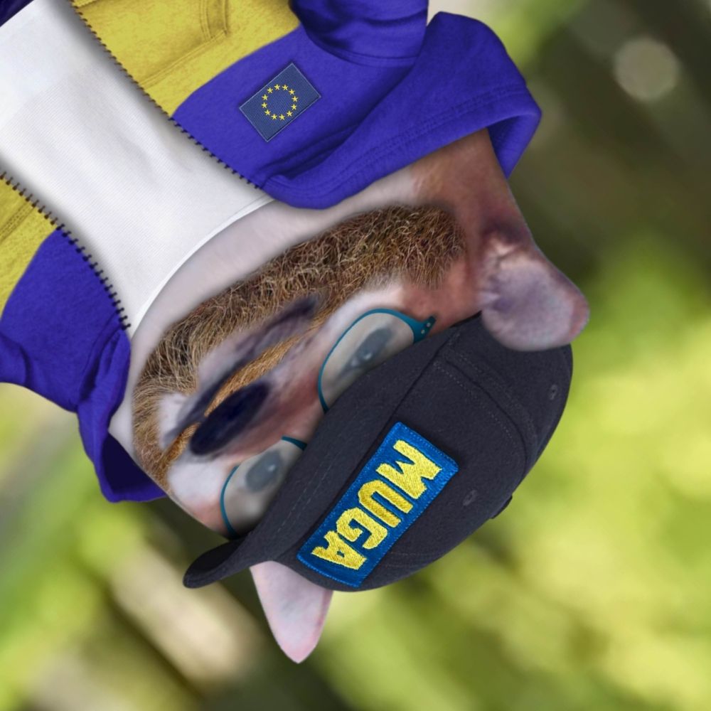 Frank Fellasson 🇪🇺🇺🇦🇬🇪