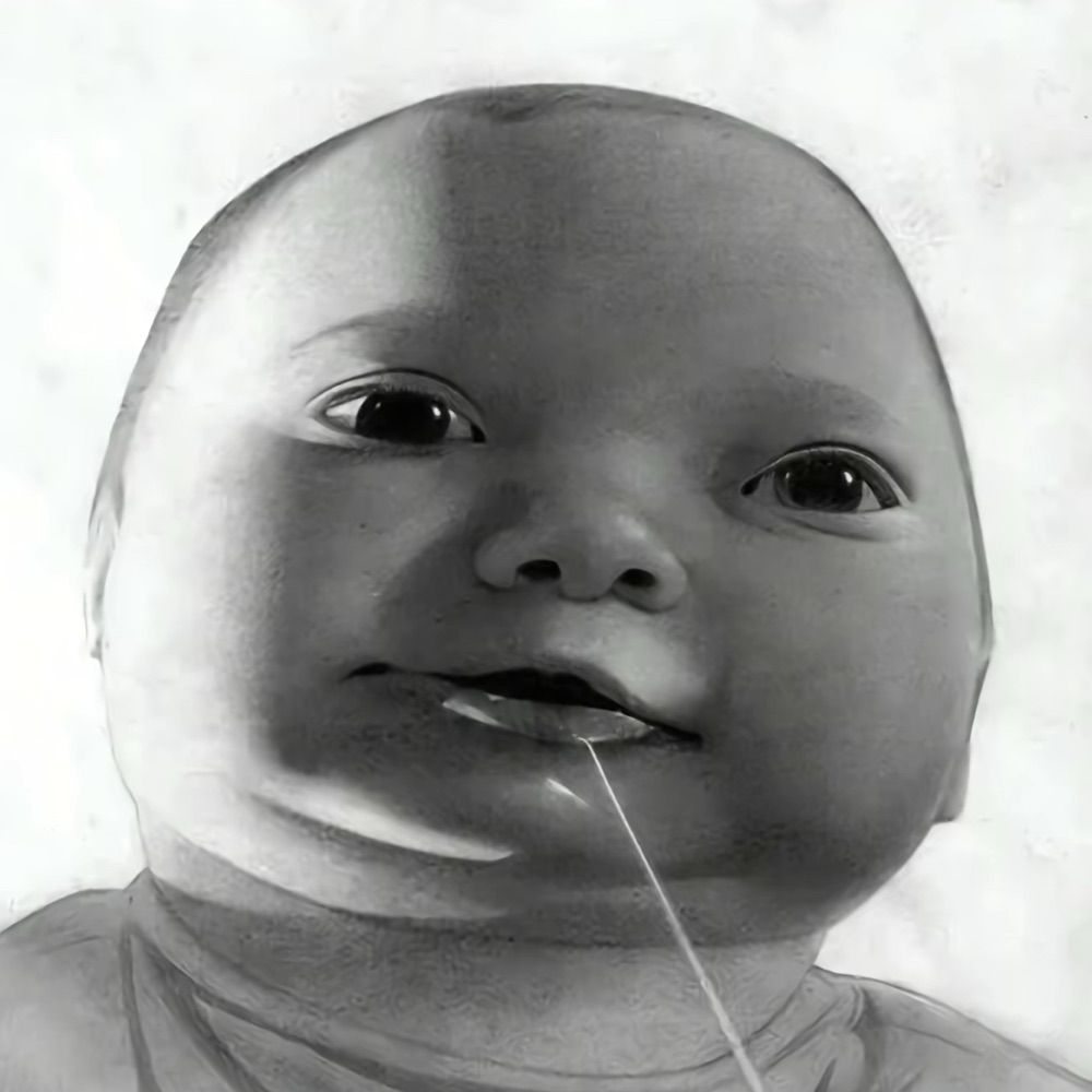 Monok